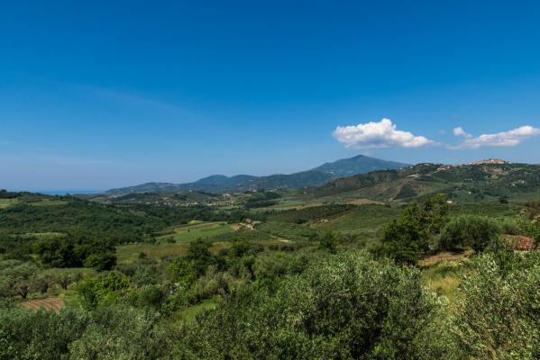 14 Agriturismo Musto terrazzo